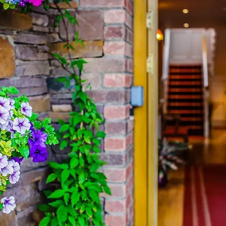 Guest house House