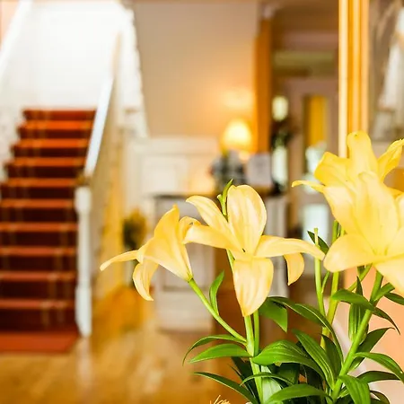 House بيت ضيافة